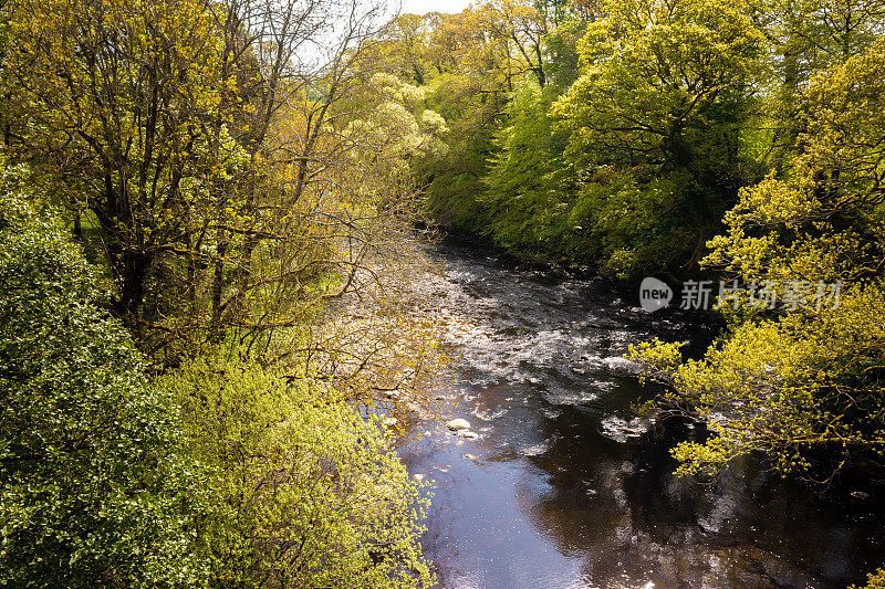 High angle view of a small rural river in Scotland